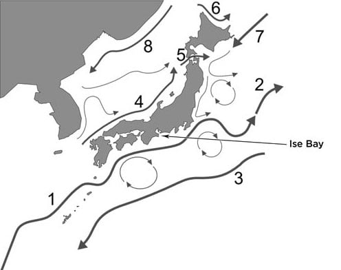 ocean currents japan. Ocean currents surrounding
