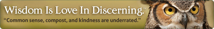 Wisdom is Love in Discerning 