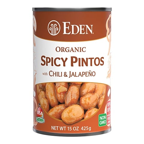 Spicy Pinto Bean Soup